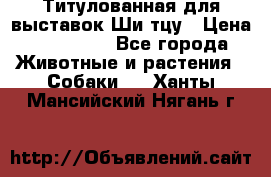 Титулованная для выставок Ши-тцу › Цена ­ 100 000 - Все города Животные и растения » Собаки   . Ханты-Мансийский,Нягань г.